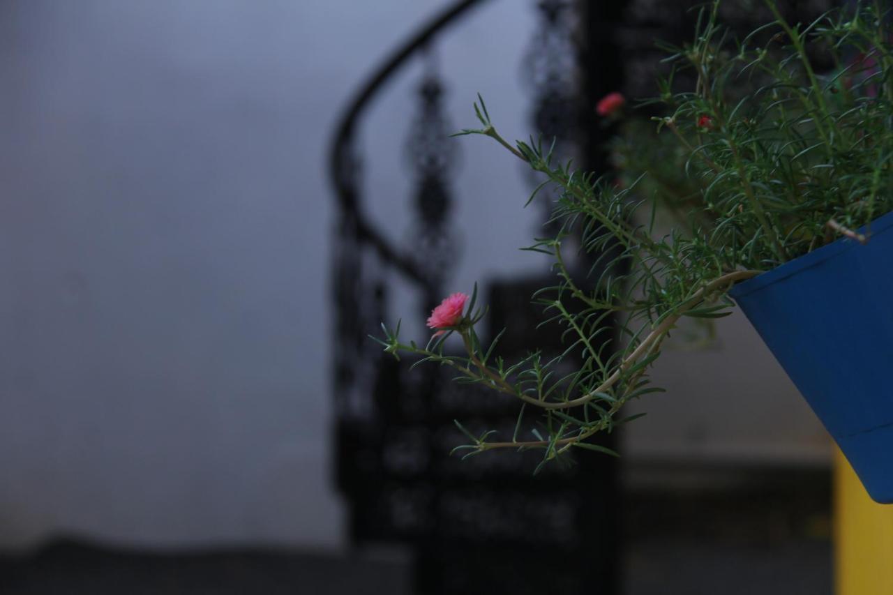 De Asian Villa Pondicherry オーロヴィル エクステリア 写真